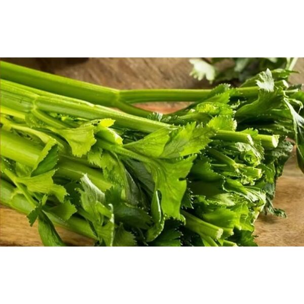 Herb Celery Seeds