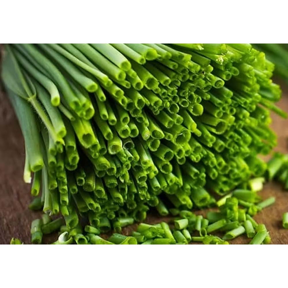 Herb Chives Seeds