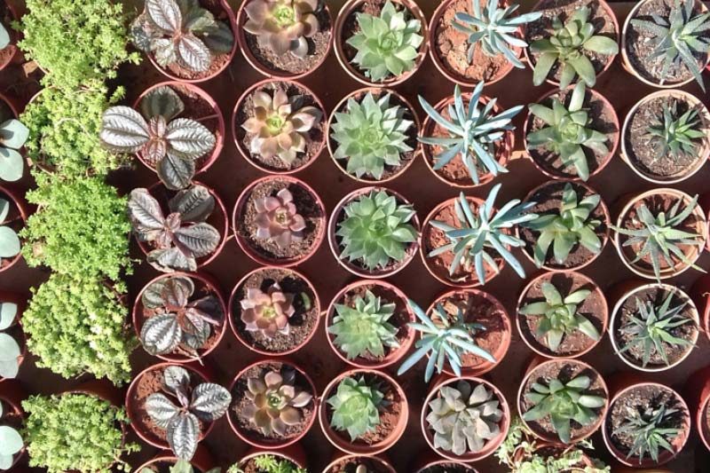 Nursery5