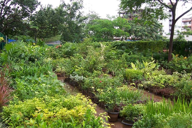 Nursery8