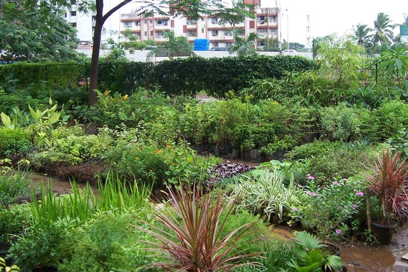 Nursery9